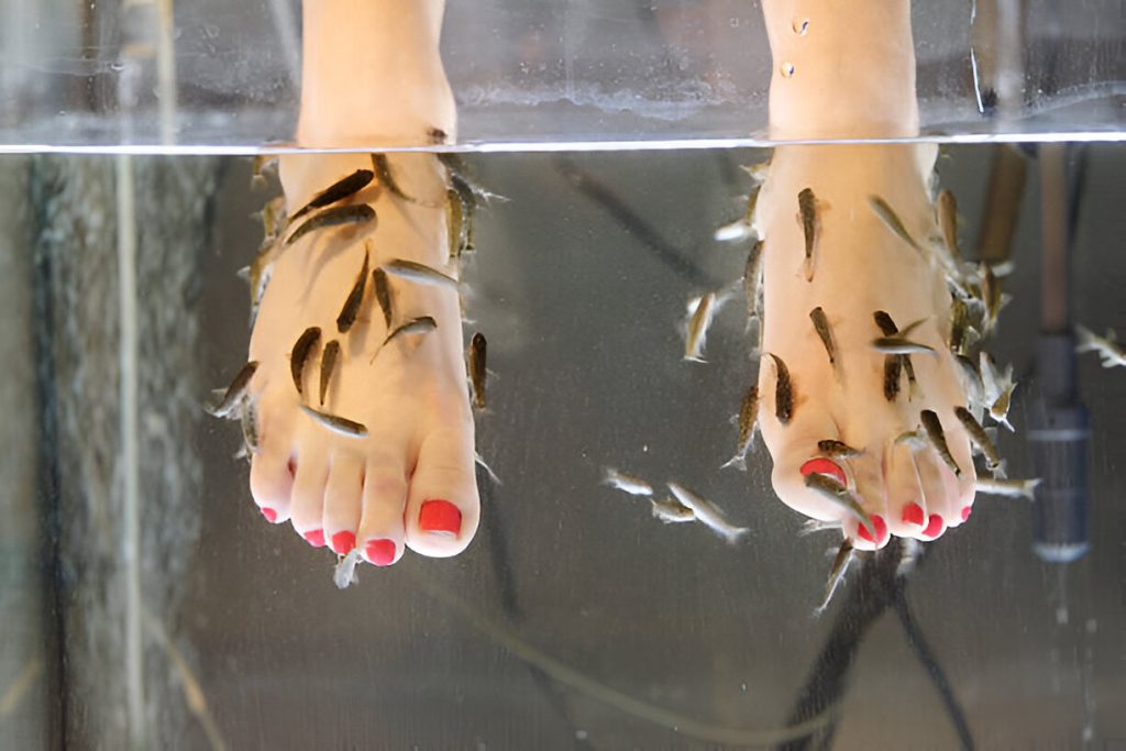 Why A Fish Pedicure Might Be Just What You Need!